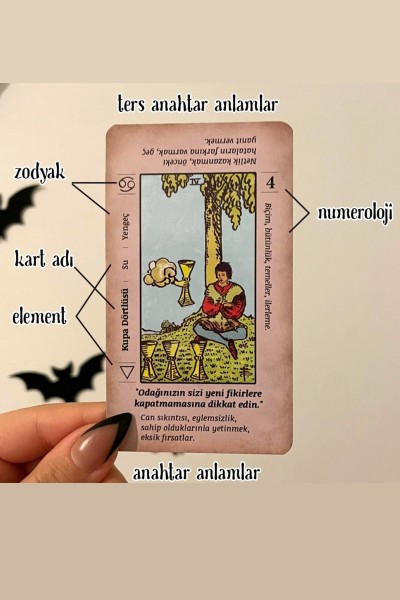 Başlangıç Tarot Kartları